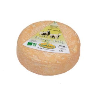 491_fleurs_de_brebis