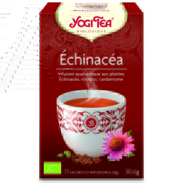 YOGITEA_ECHINACEA YOGITEA_ECHINACEA