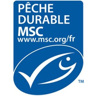 msc-logo